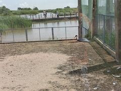 -盐城丹顶鹤湿地生态旅游区