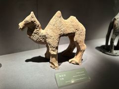 -大同市博物馆