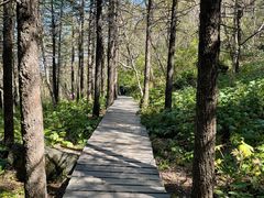 -白草畔自然风景区