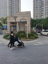 -上海交通大学医学院附属上海儿童医学中心(陆家嘴总院区)