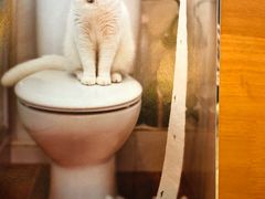 -西西弗书店&矢量咖啡(来福士广场店)