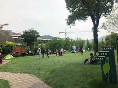 -长兴太湖图影湿地文化园