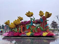 -荷兰花海