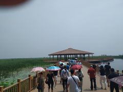-白洋淀景区