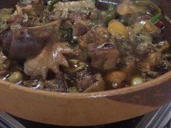 毛菜油老母鸡钵-张氏父子常德肠子馆(红星总店)