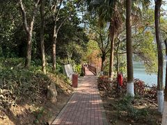 -水濂山森林公园