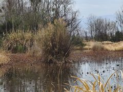 -西昌邛海湿地