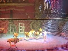 -珠海横琴长隆《卡卡虎奇遇记》