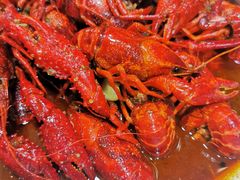 -香满锅老北京羊蝎子火锅·家常菜(新街口店)