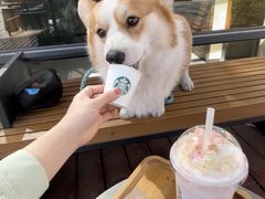 -星巴克(郑州普罗旺世店)