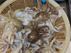 -宾朋海鲜特色美食餐厅·纯手工鲅鱼水饺(兴海路店)