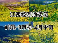 -伊犁河风景区