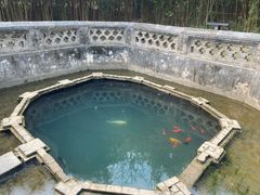 -习家池