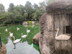 -昆明动物园