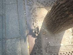 -护国寺小吃(阜成门桥店)