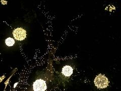 -泰堤坊(淡水体育馆店)