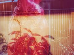 -威克特披萨汉堡