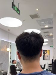 -YESIDO椰岛造型