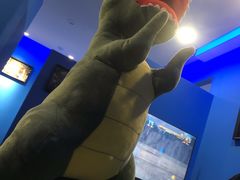 -浣熊部落ps4 ps5 switch 电玩(茶店子店)