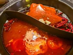 -蜀大侠火锅(总府路店)