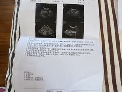 -北京赛佳动物医院