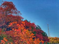-鬼笑石后山停车场