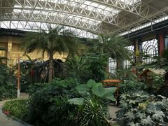 -郑州银基黄帝宫御温泉