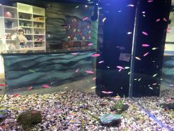 -酷嗒动物文化乐园(cutezoo西溪乐天城店)