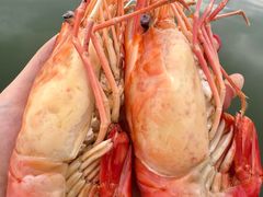 -七的湖·江南蟹舫·阳澄湖农家菜(蟹舫苑店)