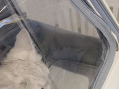 -关爱宠物医院·猫科中心·消化科(滨湖万达分院)