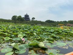 -上海海湾国家森林公园