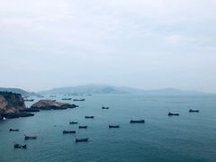 -枸杞岛