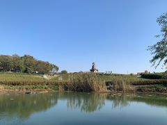 -大塘金香草谷