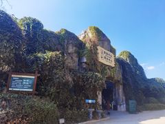 -云南野生动物园