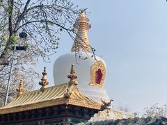 -护国法轮寺