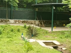 -董寨国家级自然保护区白云保护站