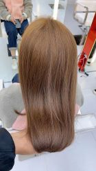 点击看大图 -金棕榈