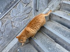 -终南山南五台景区