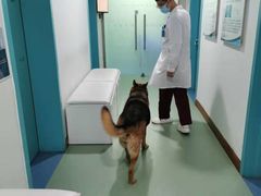 -北京观赏动物医院·24小时大型综合·猫专科·异宠专科