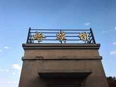 -乌兰布统景区-白桦林