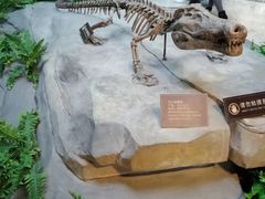 -自贡恐龙博物馆