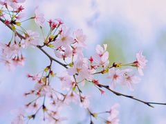 -西北湖绿化广场