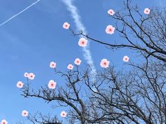 -终南山南五台景区