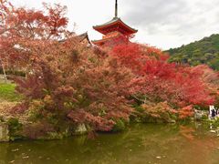 -有栖山 清光院 清水寺
