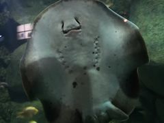 -苏州海洋馆
