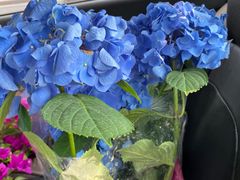 -三圣花乡旅游区