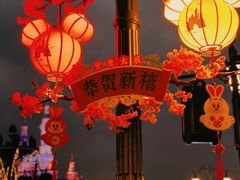 -上海迪士尼度假区