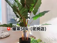 -耀莱SPA·搓澡·按摩养生(坭岗店)