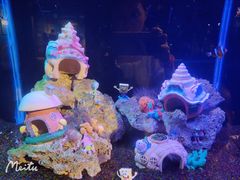 -海合安武汉极地海洋公园