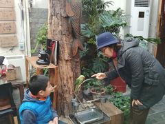 -丽江庭院之丽江往事(安定门店)